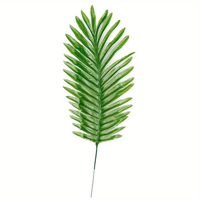 5pcs Large Tropical Palm Leaf Imitation - Perfect for Home Decor, Kitchen, Parties & Weddings! | Temu Affiliate Program