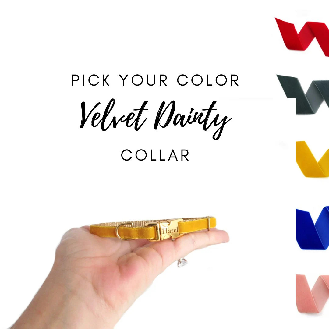 3/8 Dainty Velvet Collar Pick Your Color Over 15 Colors Xxs Dog Collar Tiny Collar Engraved Buckl... | Etsy (US)