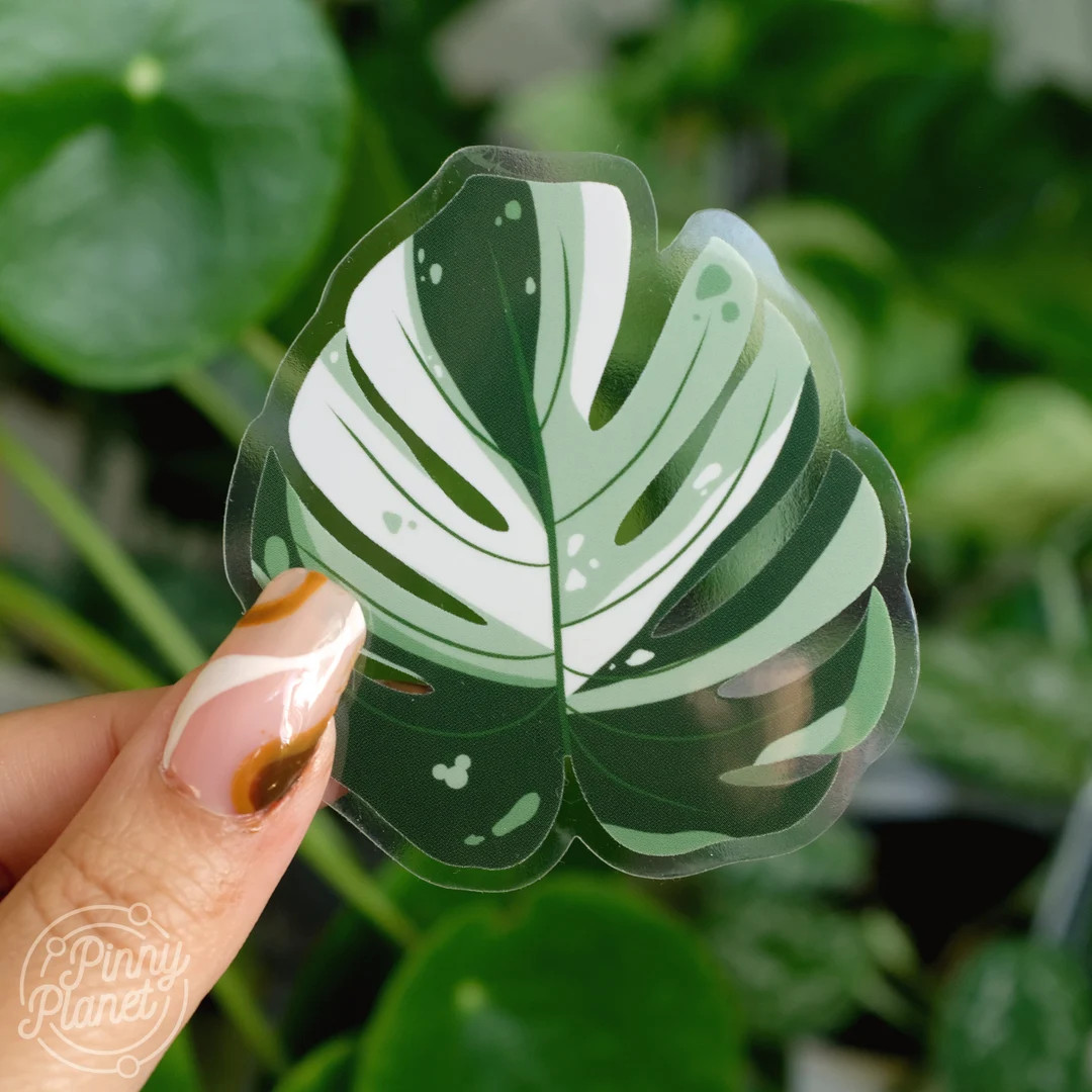 Variegated Monstera Plant Translucent Vinyl Sticker Hidden Mickey Sticker Leaf Sticker Disney Ins... | Etsy (US)