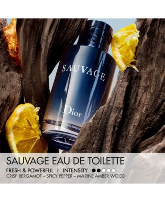 DIOR 2-Pc. Sauvage Eau de Toilette Spray and Deodorant Stick Set - Macy's | Macy's