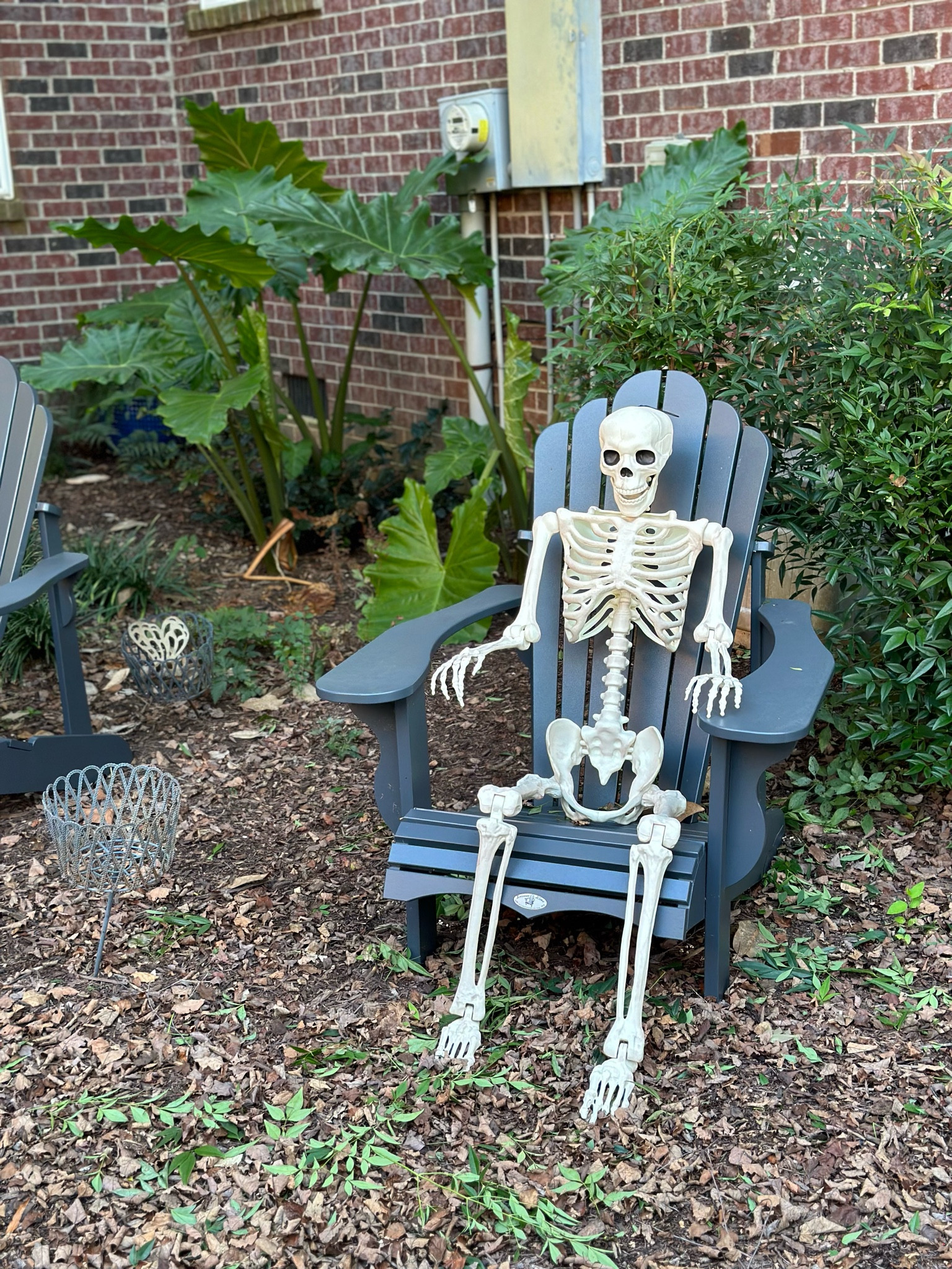 Bendable skeleton! So fun!!! We plan on moving him around the yard throughout spooky season. 🤣

#LTKhome #LTKfindsunder100 #LTKHalloween