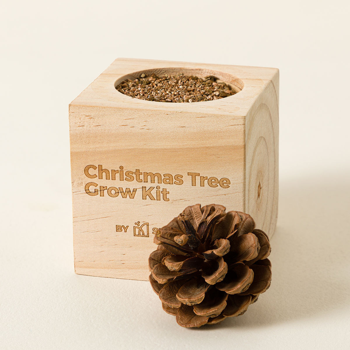Mini Christmas Tree Grow Kit – Gardening Gift | UncommonGoods