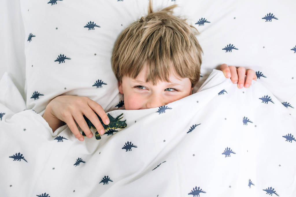 Mini Dinosaur Bedding Set | Not On The High Street