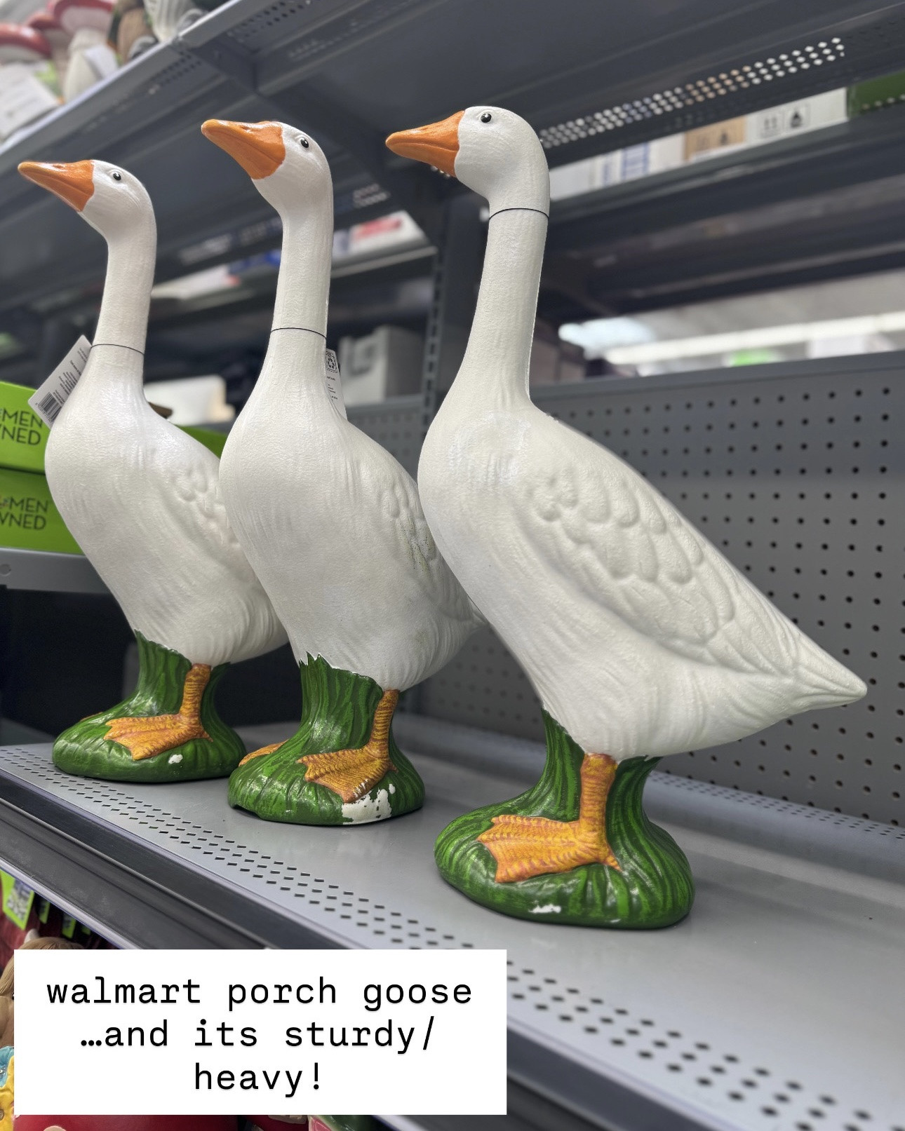 peach goose at walmart! tall and sturdy!

#LTKHome #LTKMothersDay