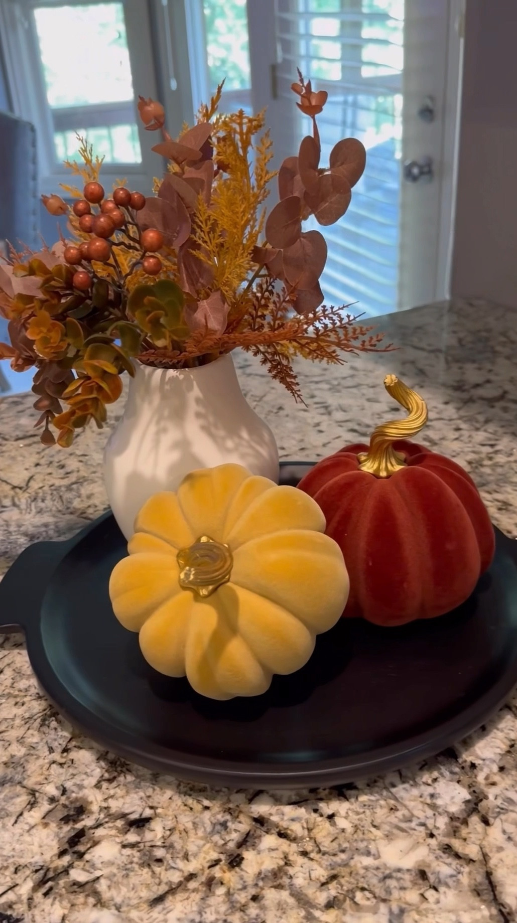 Fall Centerpiece or countertop idea! Easy and affordable. Velvet pumpkins, black coffee table tray, fall floral arrangement.  #falldecor #fallarrangment #fall #homedecor #pumpkindecor

#LTKHome #LTKSeasonal #LTKFallSale