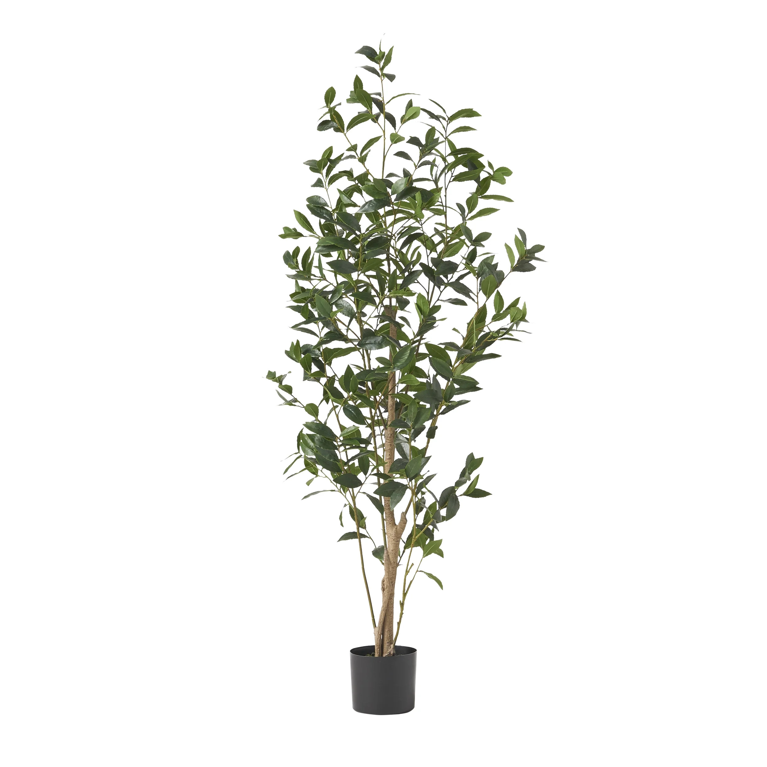 Atoka 5.5' x 2' Artificial Tabletop Laurel Tree, Green | Walmart (US)