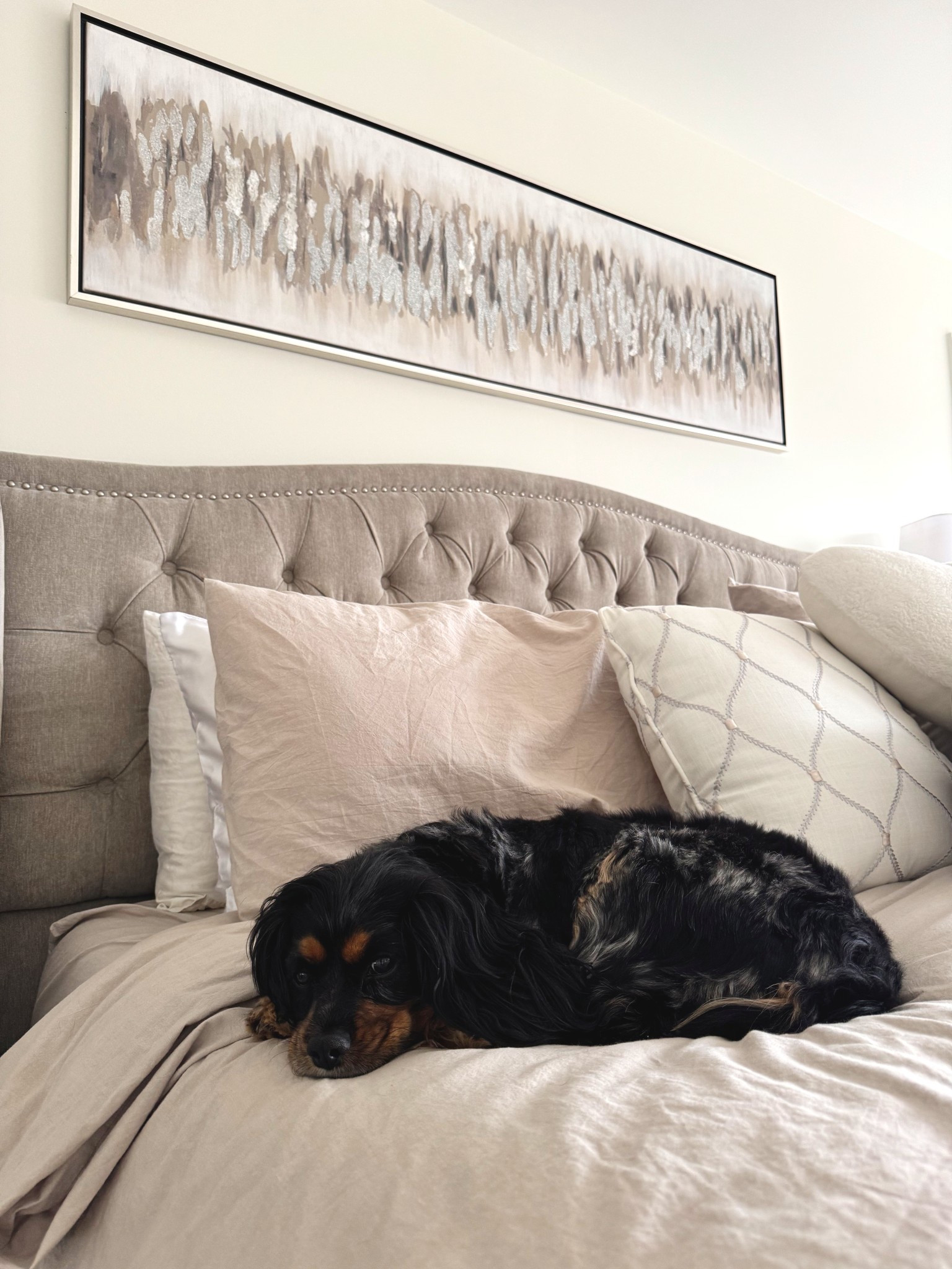 The coziest bedding 🥰

Just ask Gino… I always catch him sneaking daytime naps in our bed.

Honestly I don’t blame him — this duvet + insert has been one of my favorite upgrades lately. It’s lightweight but still fluffy and makes the bed feel extra cozy without being too hot.

Linking the exact set below ⬇️

#LTKSaleAlert #LTKHome #LTKspring