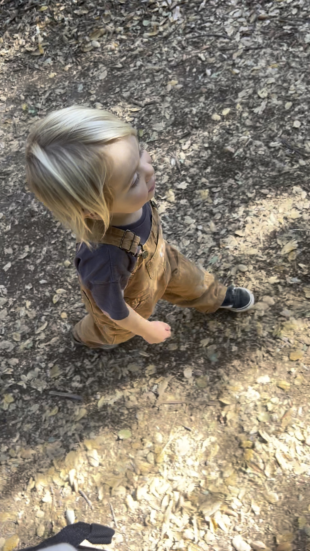 Carhartt overalls for kids! So cute. The material is strong, perfect for kids to be rough and tough playing and skateboarding. 

#LTKKids #LTKFindsUnder50