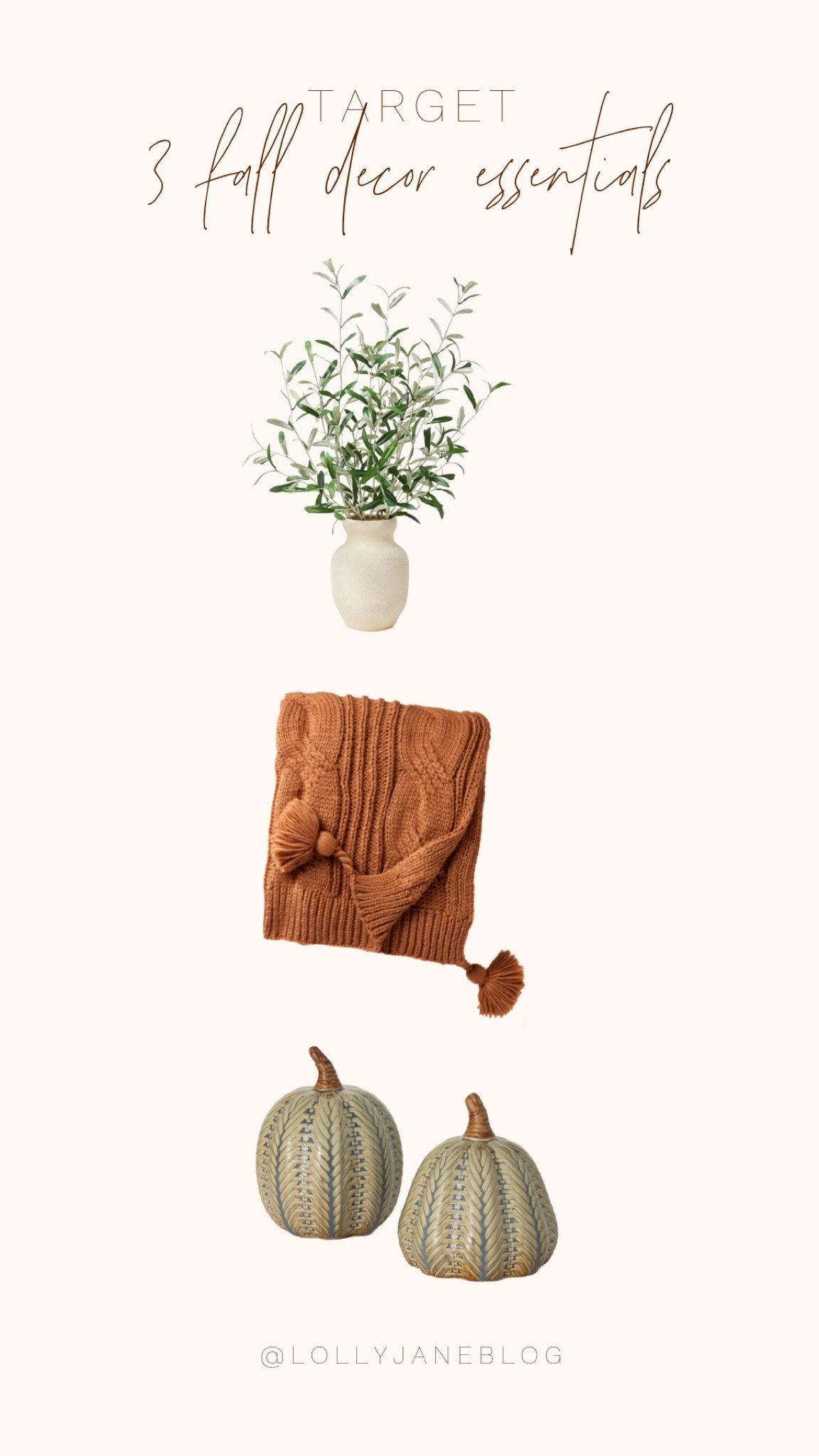 Target fall essentials for this beautiful autumn season! 🤎

This adorable fake plant and planter fits every seasons vibe, but especially fall! This brown throw is adorable and perfect for the fall color palette! Pumpkins for fall decor of course! 🎃🤎

#LTKHome #LTKStyleTip #LTKSeasonal