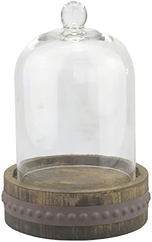 Amazon.com: Stonebriar 12 Inch Clear Glass Dome Cloche with Rustic Wood and Metal Base, Antique B... | Amazon (US)