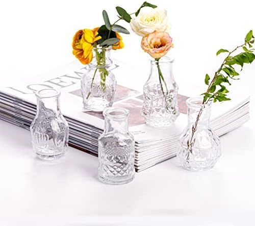 EylKoi Glass Bud Vase Clear - Mini Vases 5Pcs/Set Bud Vases for Flowers Cute Clear Vintage Small Gla | Amazon (US)
