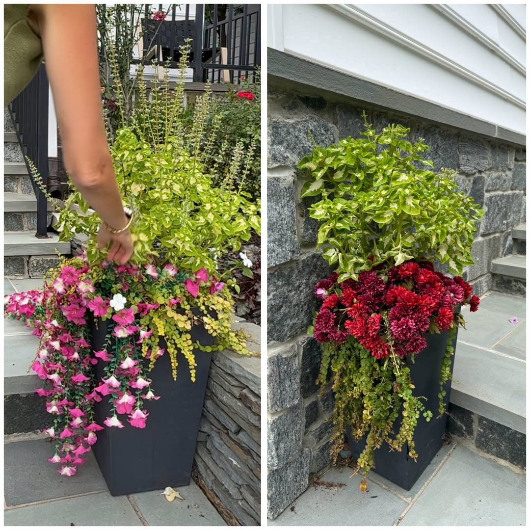 Faux mums and porch plants

Faux plants for home decor Realistic artificial greenery Indoor decorative potted plants Affordable faux floral arrangements Large artificial floor trees Modern botanical home accents Lifelike greenery for living rooms Low maintenance indoor plants Designer inspired decorative topiaries Stylish artificial plant arrangements

#LTKSeasonal #LTKSaleAlert #LTKHome