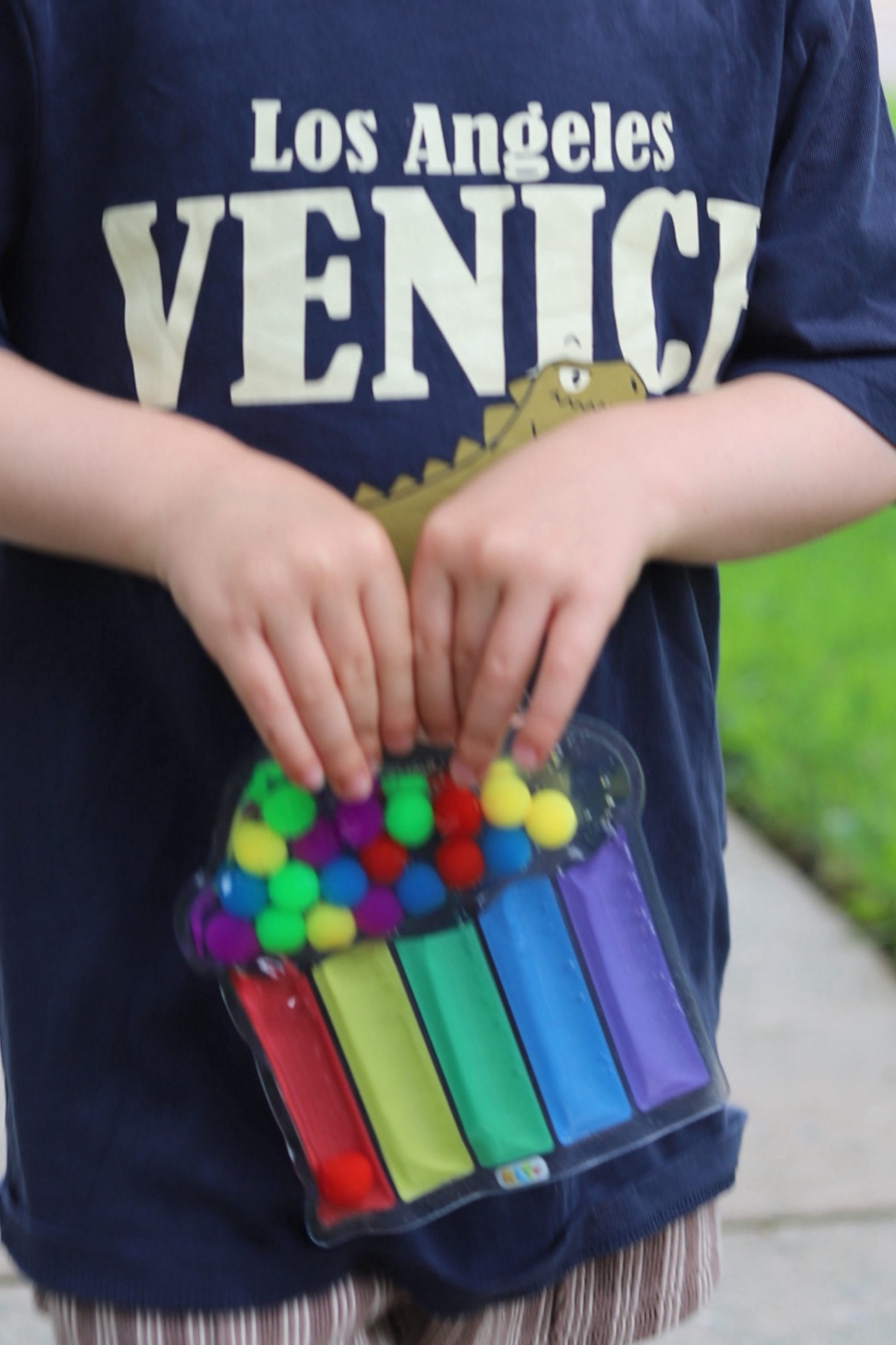 Sensory push travel toy 

#LTKFindsUnder50