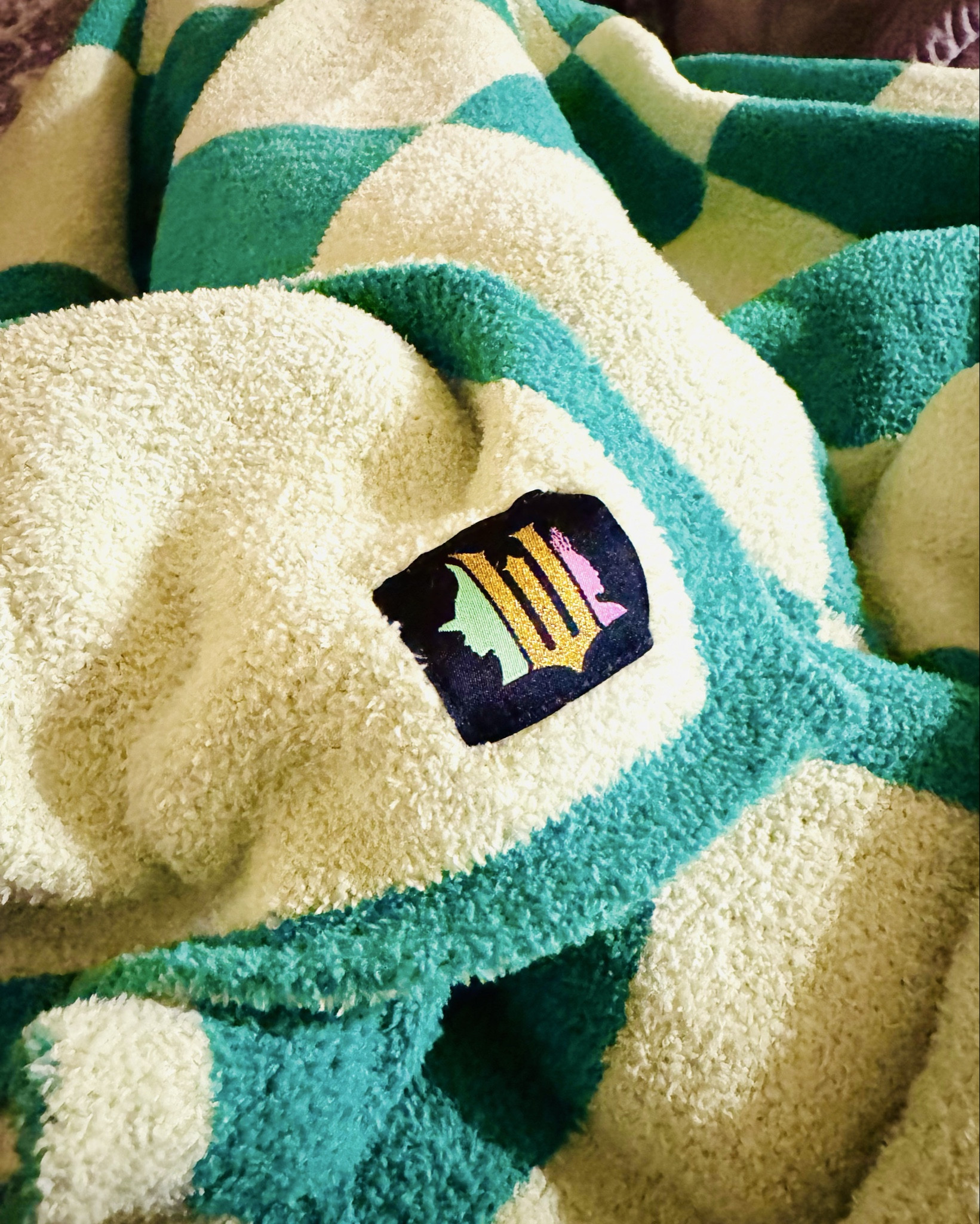 Wicked blanket- Elphaba 

#LTKGiftGuide #LTKHoliday #LTKFindsUnder50