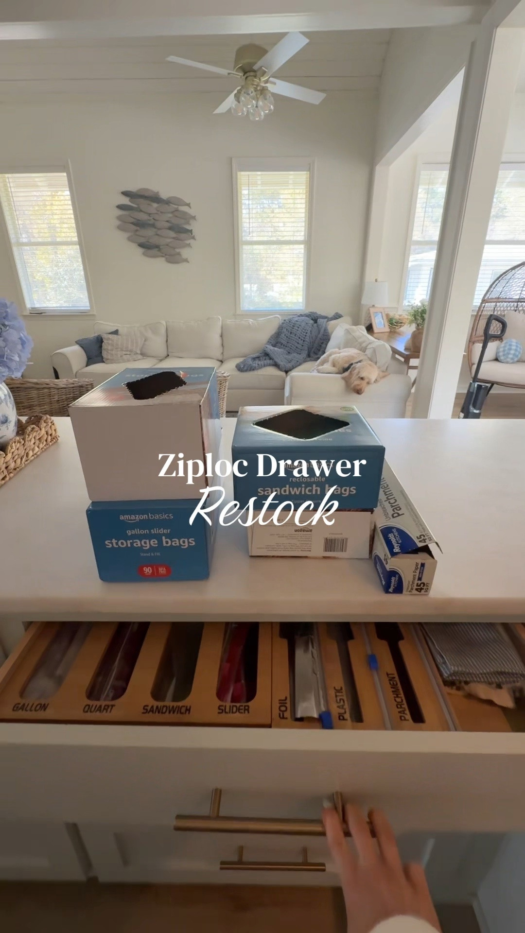 Ziploc drawer organizer - Amazon finds 





Storage bags
Kitchen organization
Home organization 
Kitchen storage 
Amazon kitchen 
Amazon home 

#LTKHome