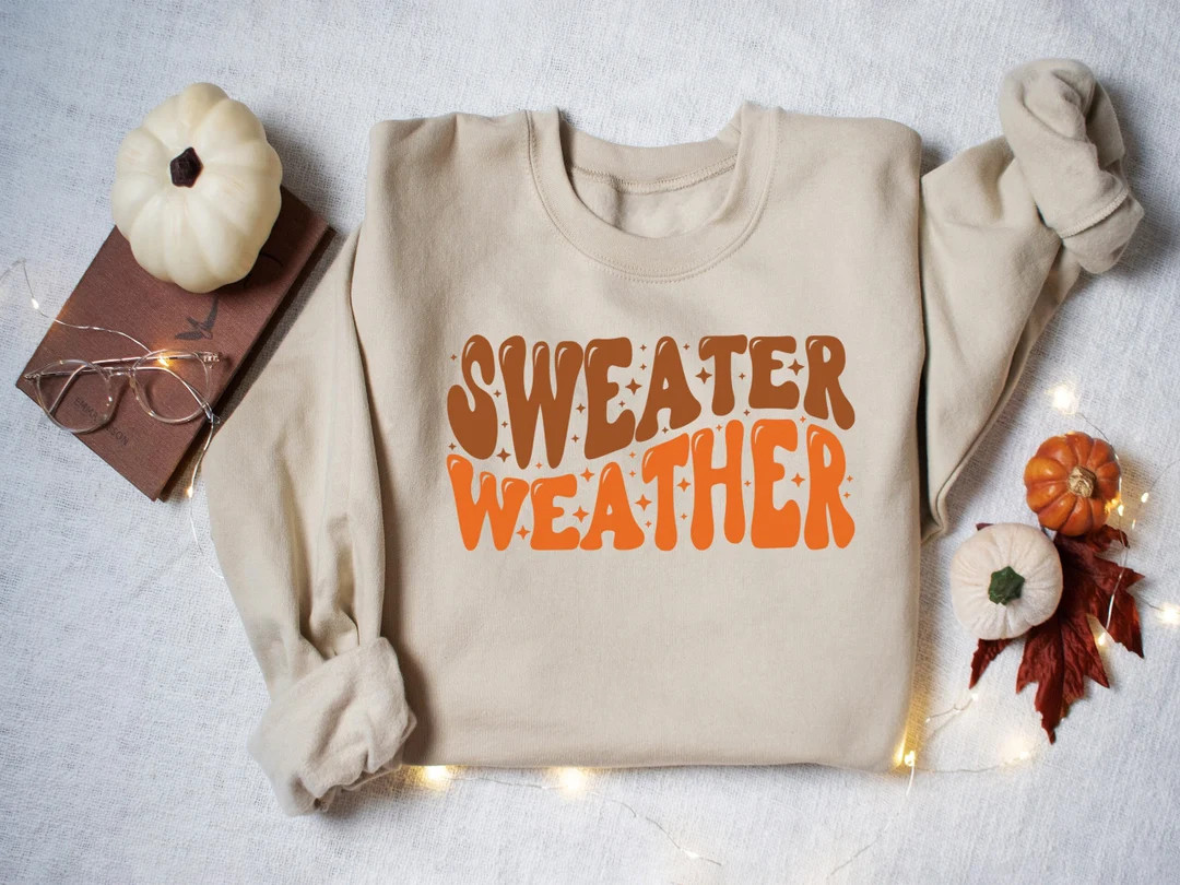 Sweater Weather Sweatshirt, Cozy Fall Sweater, Autumn Apparel, Cozy Pumpkin Sweater, Thanksgiving... | Etsy (US)