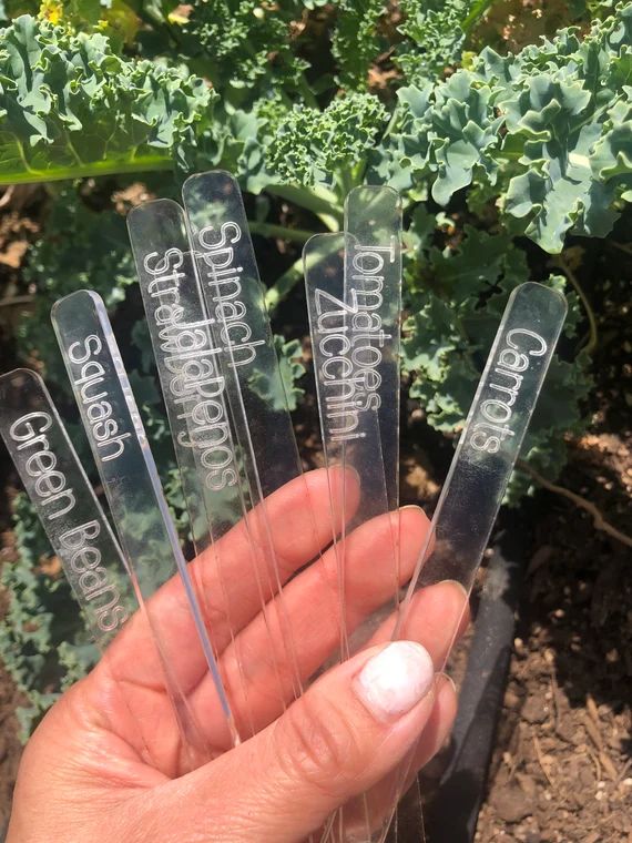 Acrylic Laser Engraved Vegetable & Herb Garden Markers - Vegetable Stakes - Custom Made - Gifts f... | Etsy (US)