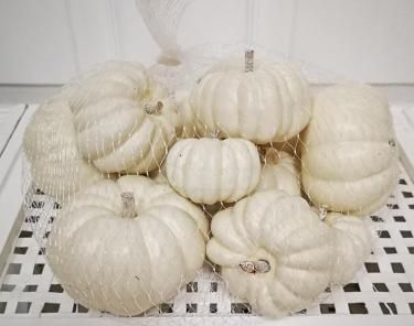 Assorted 12 Pumpkins Bag, White | The Nested Fig