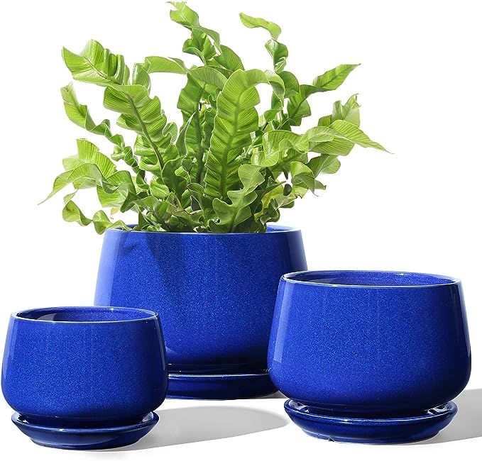LE TAUCI Plant Pots with Drainage Holes and Saucers, 4.1" & 5.1" & 6.5" Ceramic Pots for Plants, ... | Amazon (US)