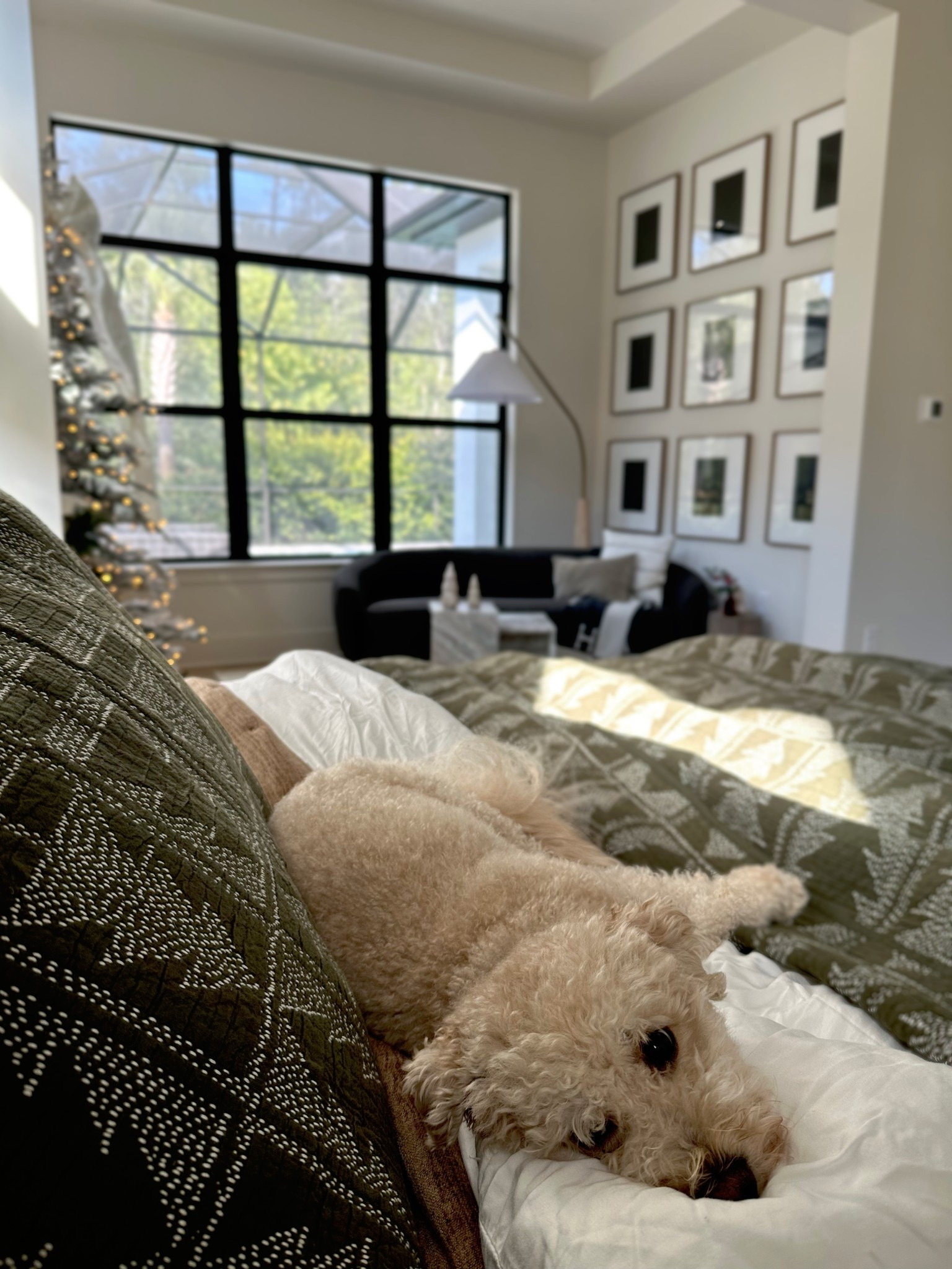 Decorating your bedroom for the holidays just hits differently! 🥰

Christmas holiday master bedroom, primary bedroom, Christmas tree, quilt tree, cover tree, blanket, frame frames, picture frames