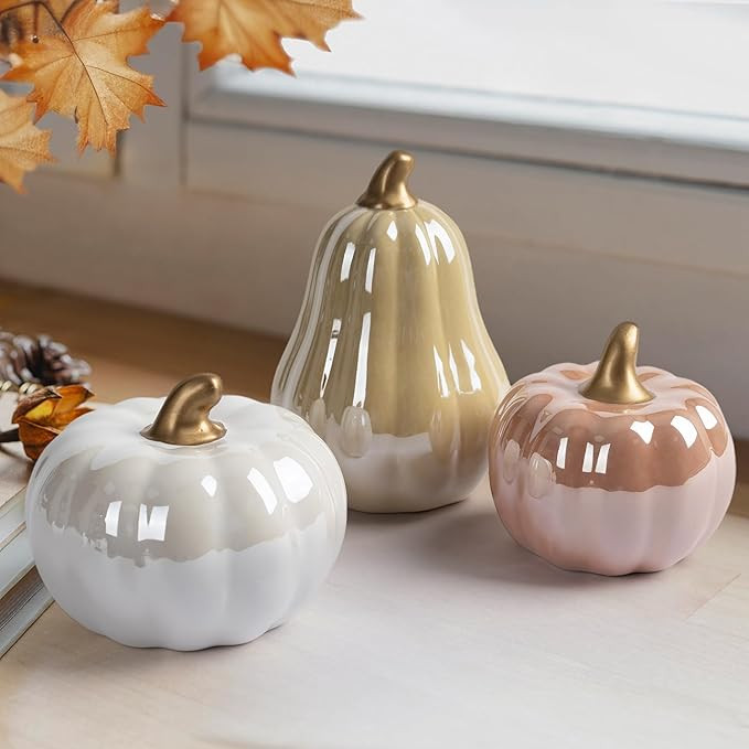 AELS Modern Ceramic Pumpkins Fall Decor Indoor, Cozy Farmhouse Tabletop Decorations, Artificial P... | Amazon (CA)
