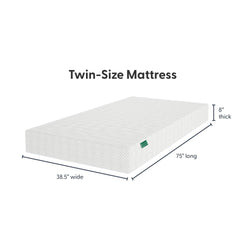 8 Inch Twin Comfort Memory Foam Mattress | Plank+Beam