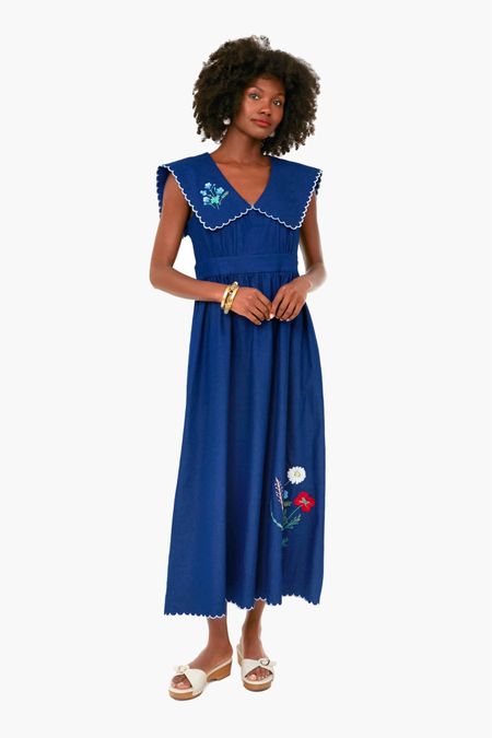 Tuckernuck Sample Sale Blue Embroidered Maxi Dress 

#LTKsalealert