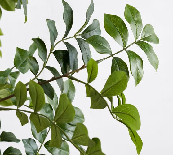 Faux Green Leaf Tree | Pottery Barn (US)