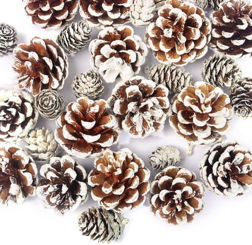 JOHOUSE 30PCS Snow-Dusted Pine Cones – Natural Pinecones for Christmas Tree Ornaments, Wreath M... | Amazon (US)