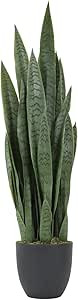 Worth Garden 3ft Artificial Snake Plant Fake Sansevieria Indoor Outdoor, 28 Thick Leaves Lifelike... | Amazon (US)