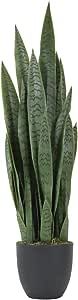 Worth Garden 3ft Artificial Snake Plant Fake Sansevieria Indoor Outdoor, 28 Thick Leaves Lifelike... | Amazon (US)
