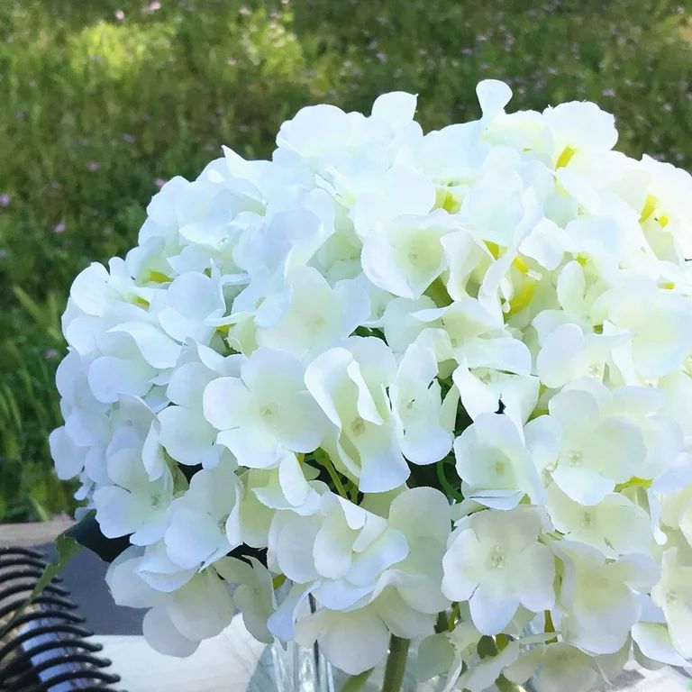 Enova Home Artificial 7 Steams Cream Silk Hydrangea Fake Flowers in Clear Glass Vase with Faux Wa... | Walmart (US)