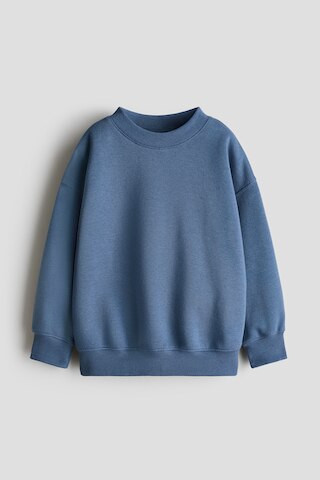 H & M - Brushed-Inside Sweatshirt - Dusty Blue | H&M (US + CA)