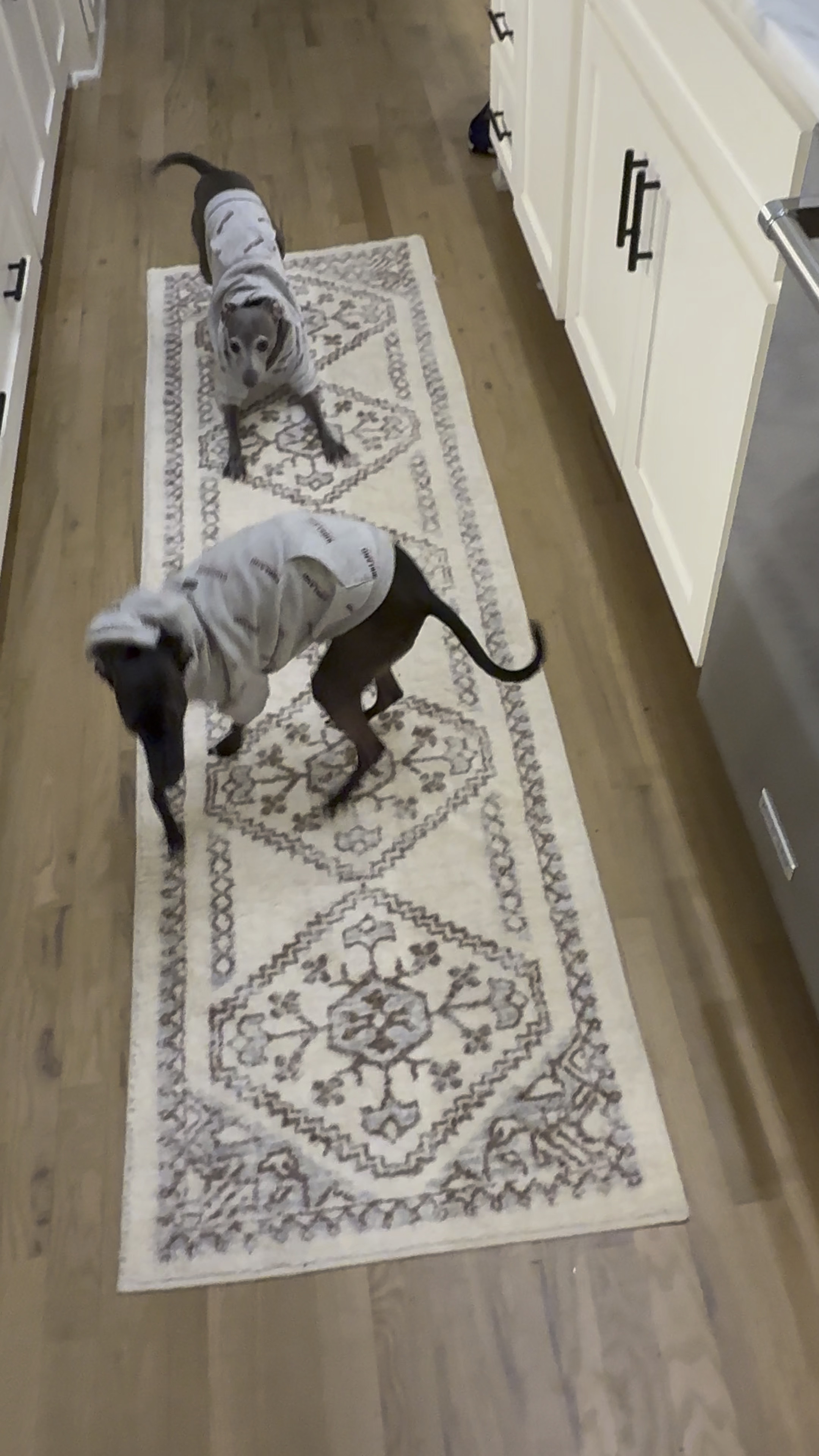 love this runner i got for our kitchen! it’s 2x7, super soft and the perfect neutral color!

#LTKStyleTip #LTKHome #LTKFindsUnder50