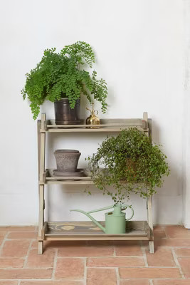 Spruce 3-Shelf Plant Stand | Anthropologie (US)