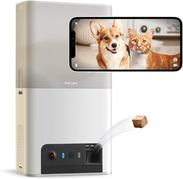 Petcube Bites 2 Lite Interactive WiFi Pet Monitoring Treat Dispenser Camera | Chewy.com