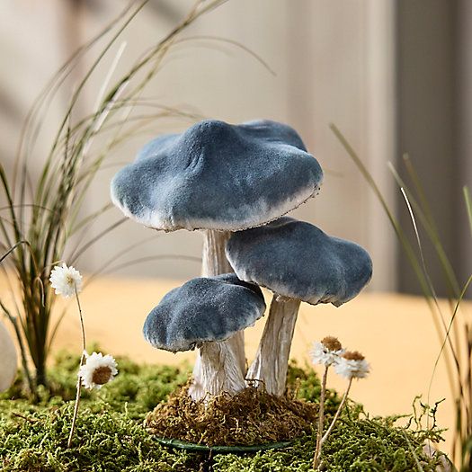 Velvet Mushrooms, Set of 3 Small | Terrain