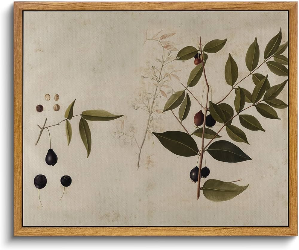 VIYYIEA Framed Vintage Botanical Wall Art Prints Vintage Plant Canvas Wall Art Rustic Farmhouse B... | Amazon (US)