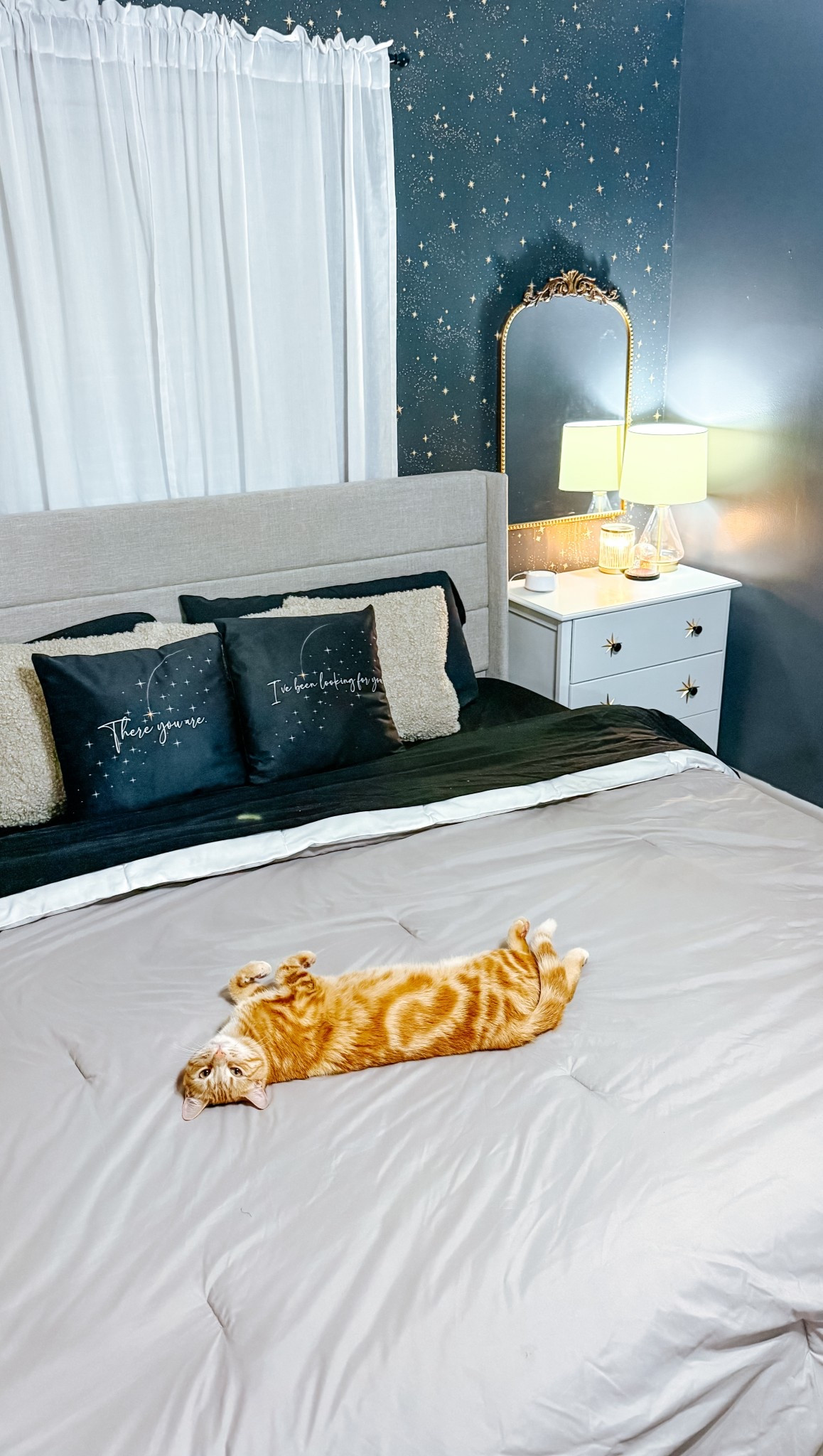 Welcome to my Night Court ✨🌙 This ACOTAR-inspired bedroom is giving all the Velaris vibes—soft, starry, and full of magic! Plus, my little feline Illyrian warrior approves.

#ACOTAR #NightCourtAesthetic #VelarisVibes #BookishDecor #FantasyInspired #HomeDecor #StarryNight #BookishBedroom #FeyreAndRhysand #CozyFantasy #InteriorInspo 

#LTKFindsUnder50 #LTKSaleAlert #LTKHome