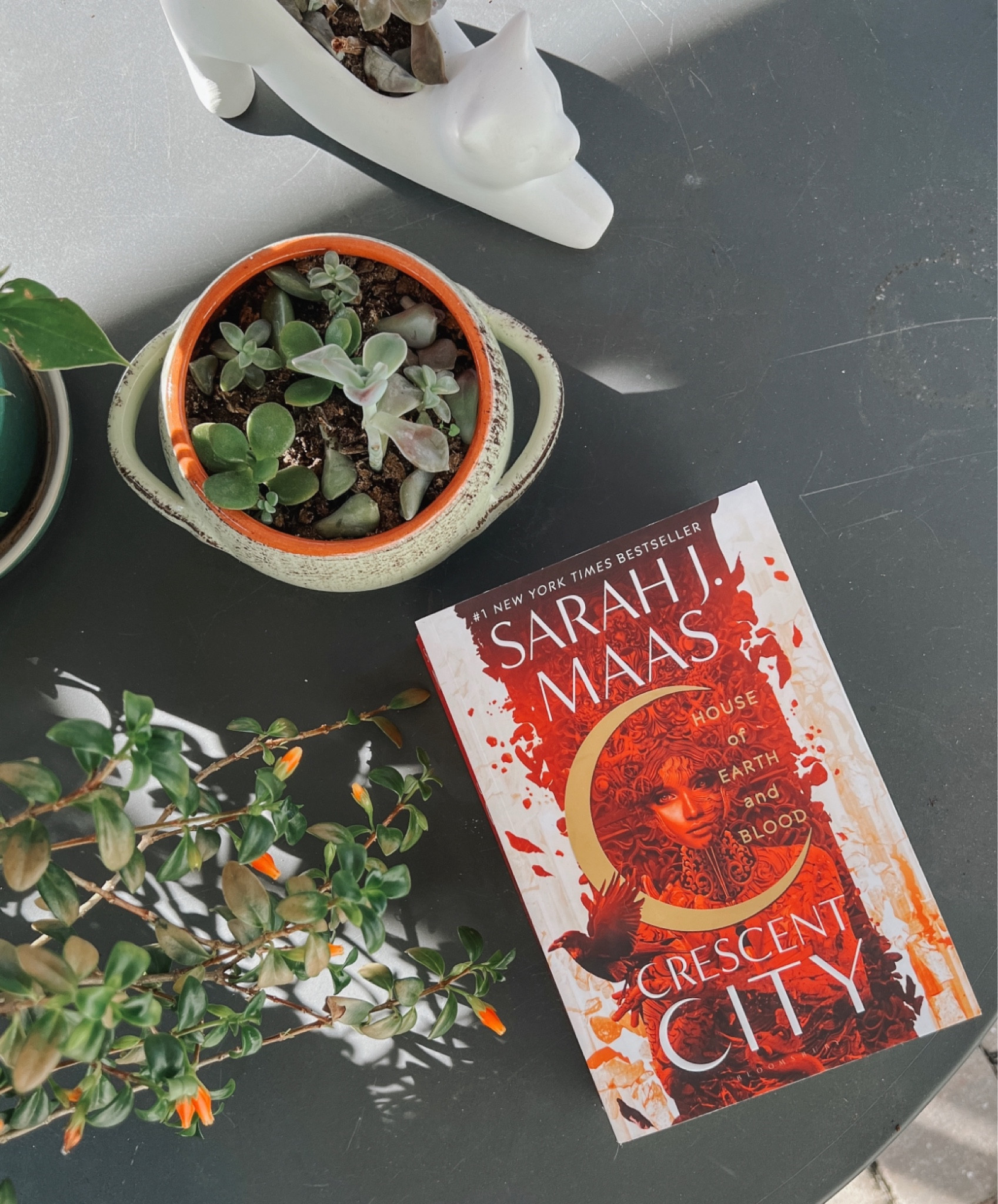 All the best Crescent City merch for the Sarah J. Maas/fantasy book lovers on your list! 

#LTKHoliday #LTKU #LTKGiftGuide