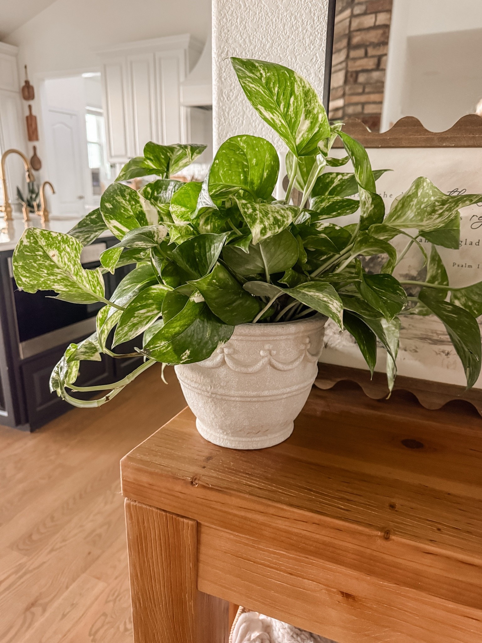 Loving this planter from Walmart! Comes in 2 sizes.

#LTKSaleAlert #LTKHome