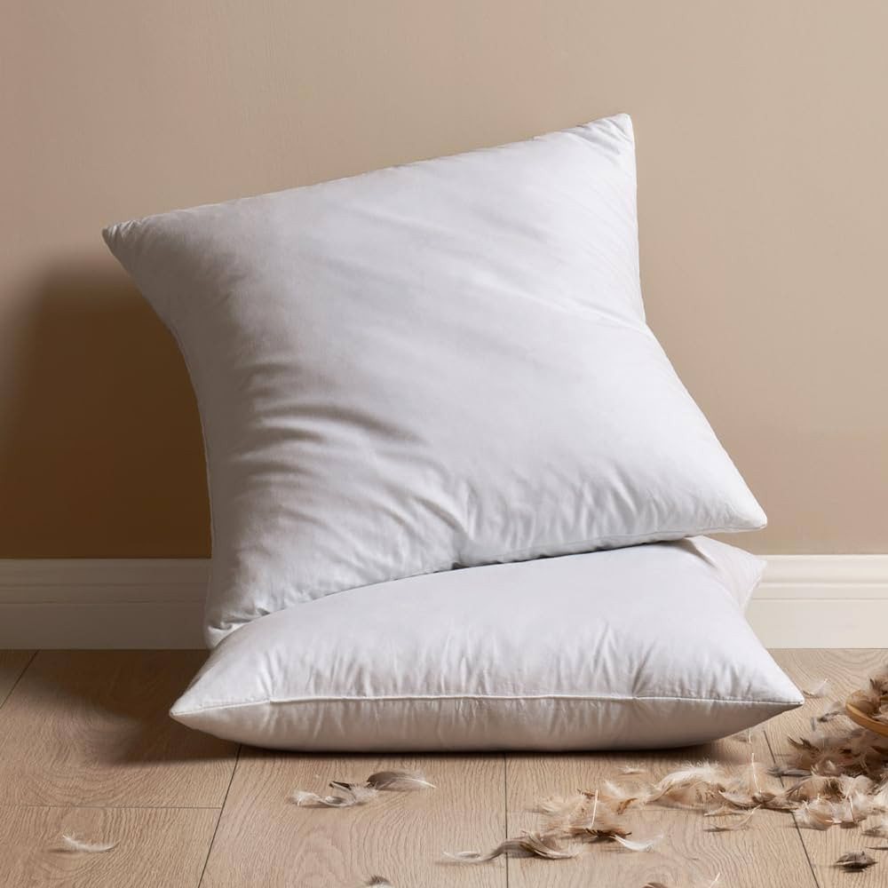 MIULEE 22x22 Pillow Inserts, Pack of 2 Feather Throw Pillow Inserts, Decorative Fluffy Throw Pill... | Amazon (US)