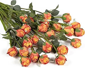 DuHouse 24pcs Artificial Vintage Roses Fake Silk Rose Flowers with Long Stem for DIY Bouquets Wed... | Amazon (US)
