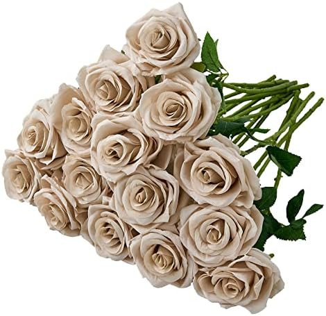 Carlita‘s Blooms 15pcs Fake Roses Artificial Silk Flowers Nude Faux Rose Flower Long Stems Bouq... | Amazon (US)
