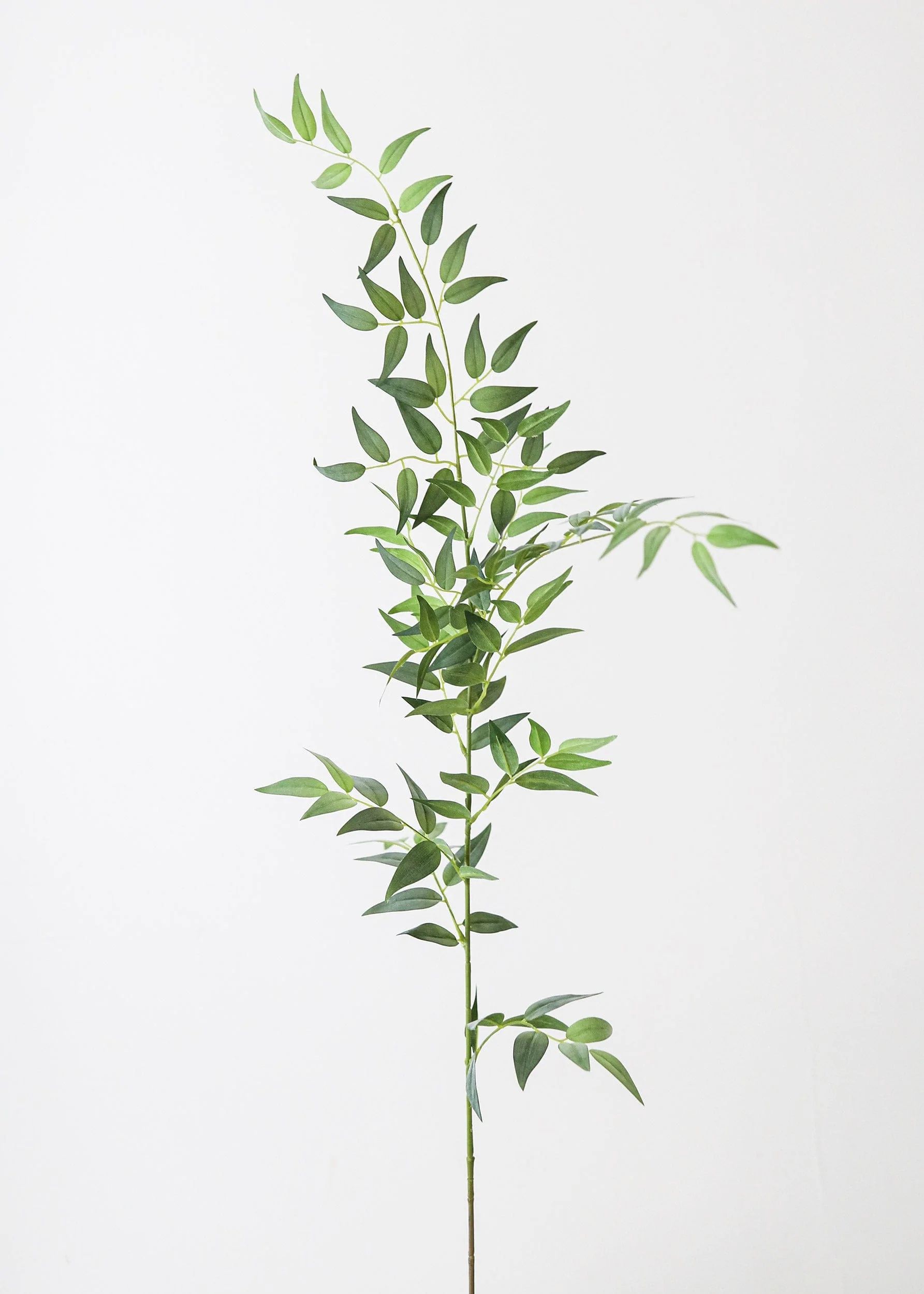 Fake Leaves Italian Ruscus Branch - 49" | Afloral