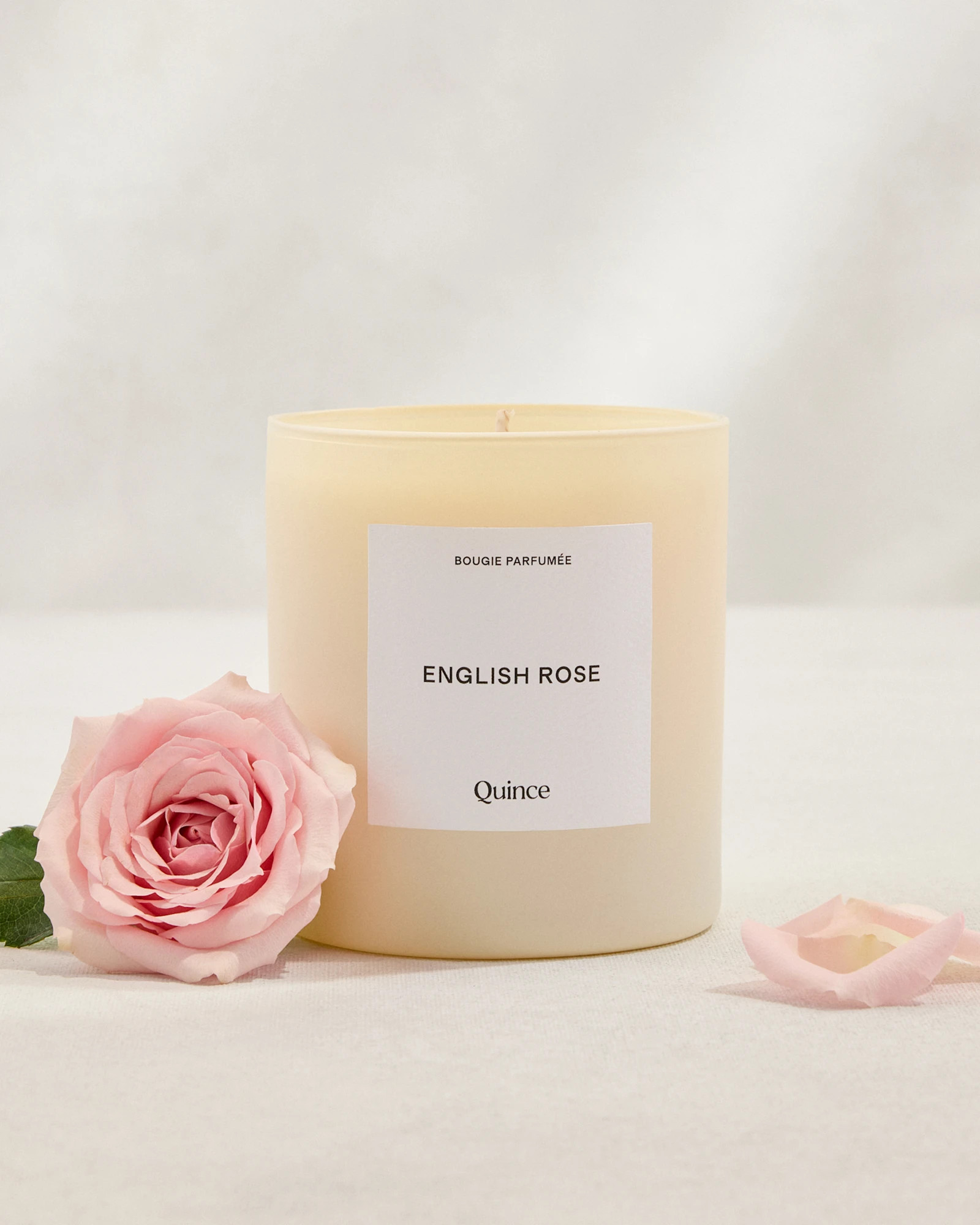 English Rose Candle | Quince