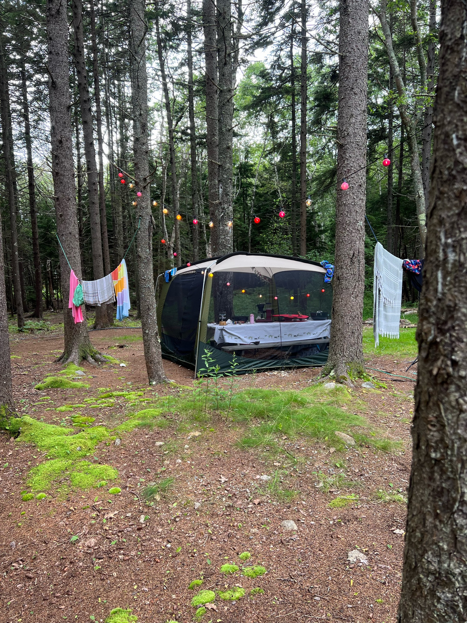 Living room tent 🏕️ 