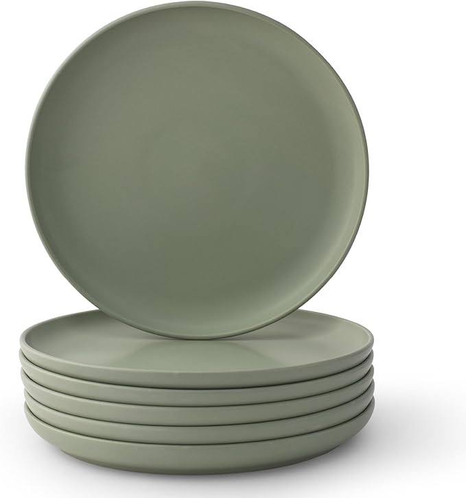JoyJolt Mesa Stoneware Dinner Plates Set of 6, 10.5" Dish Set, Dishwasher and Microwave Safe Plat... | Amazon (US)