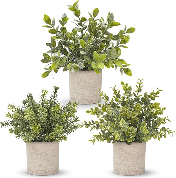 Der Rose 3 Pack Mini Potted Fake Plants Artificial Plastic Eucalyptus Plants Topiaries for Home O... | Amazon (US)