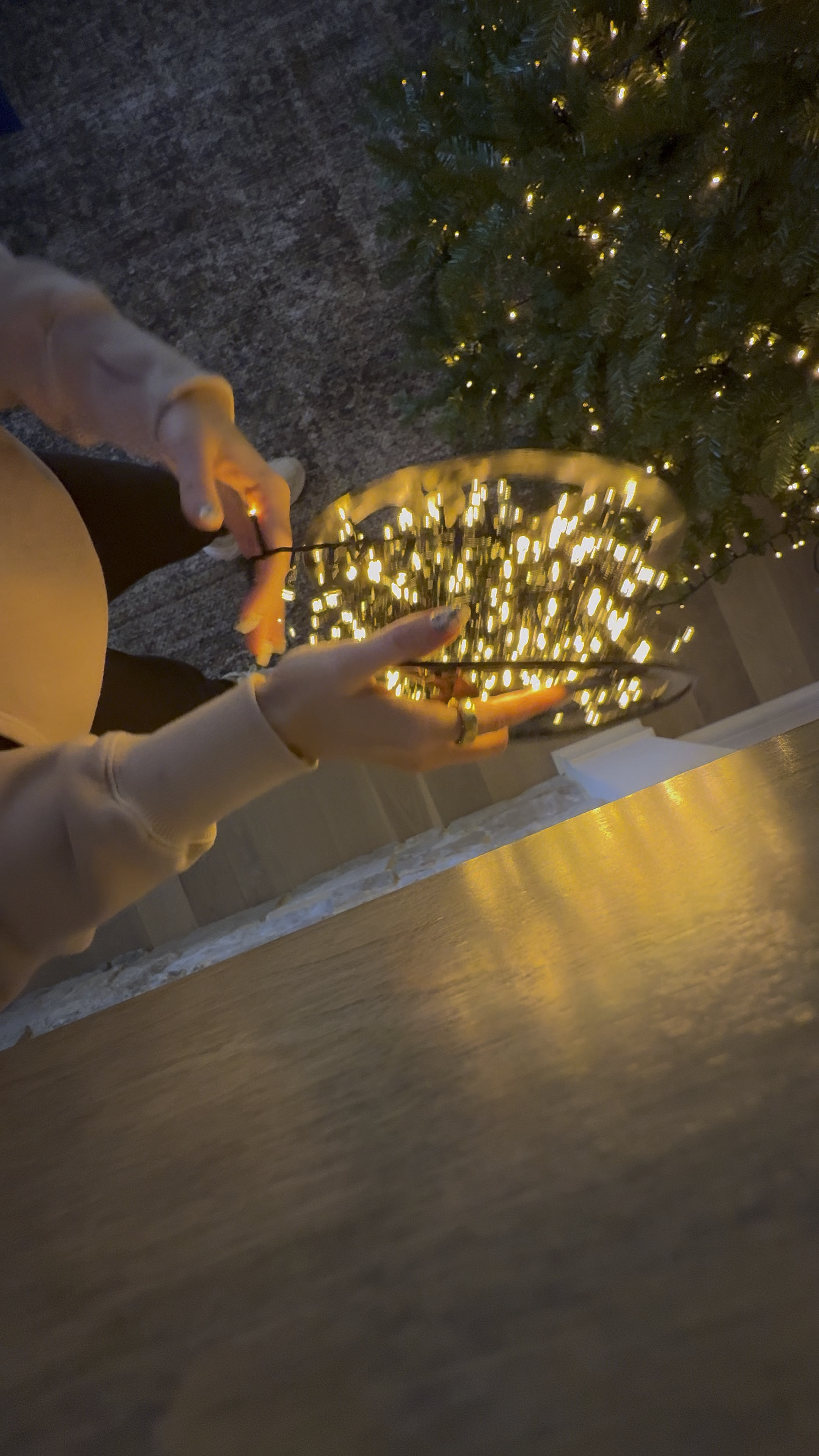 Christmas tree lights. These are a warm light. My favorite ones!

#LTKHome #LTKHoliday #LTKSeasonal